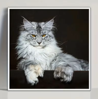 Preview: Diamond Painting  Maine Coon Katze
